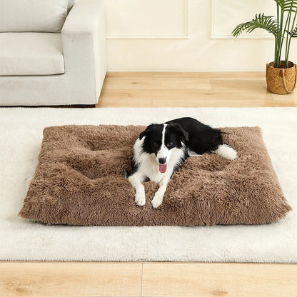 Soft Dog Beds House Soft Long Plush Best Pet Dog