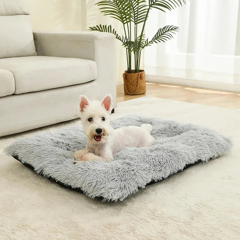 Soft Dog Beds House Soft Long Plush Best Pet Dog