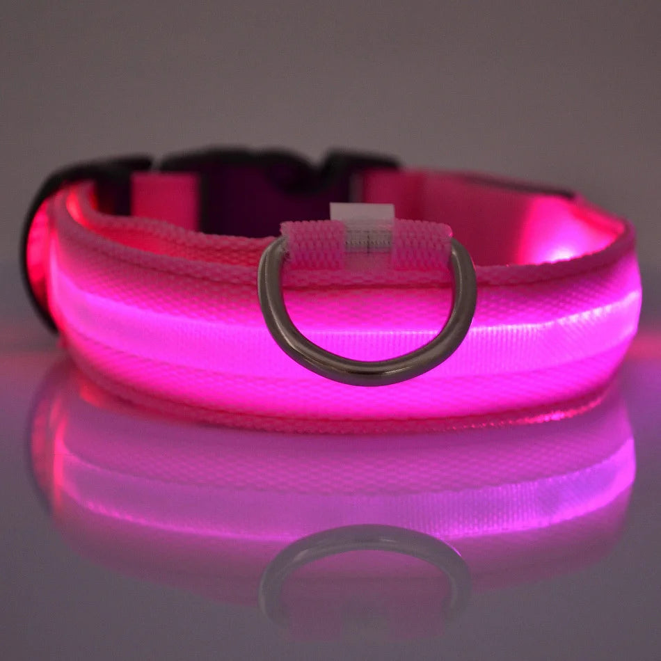 Nylon LED Night Safety Flashing Glow In The Dark Dog