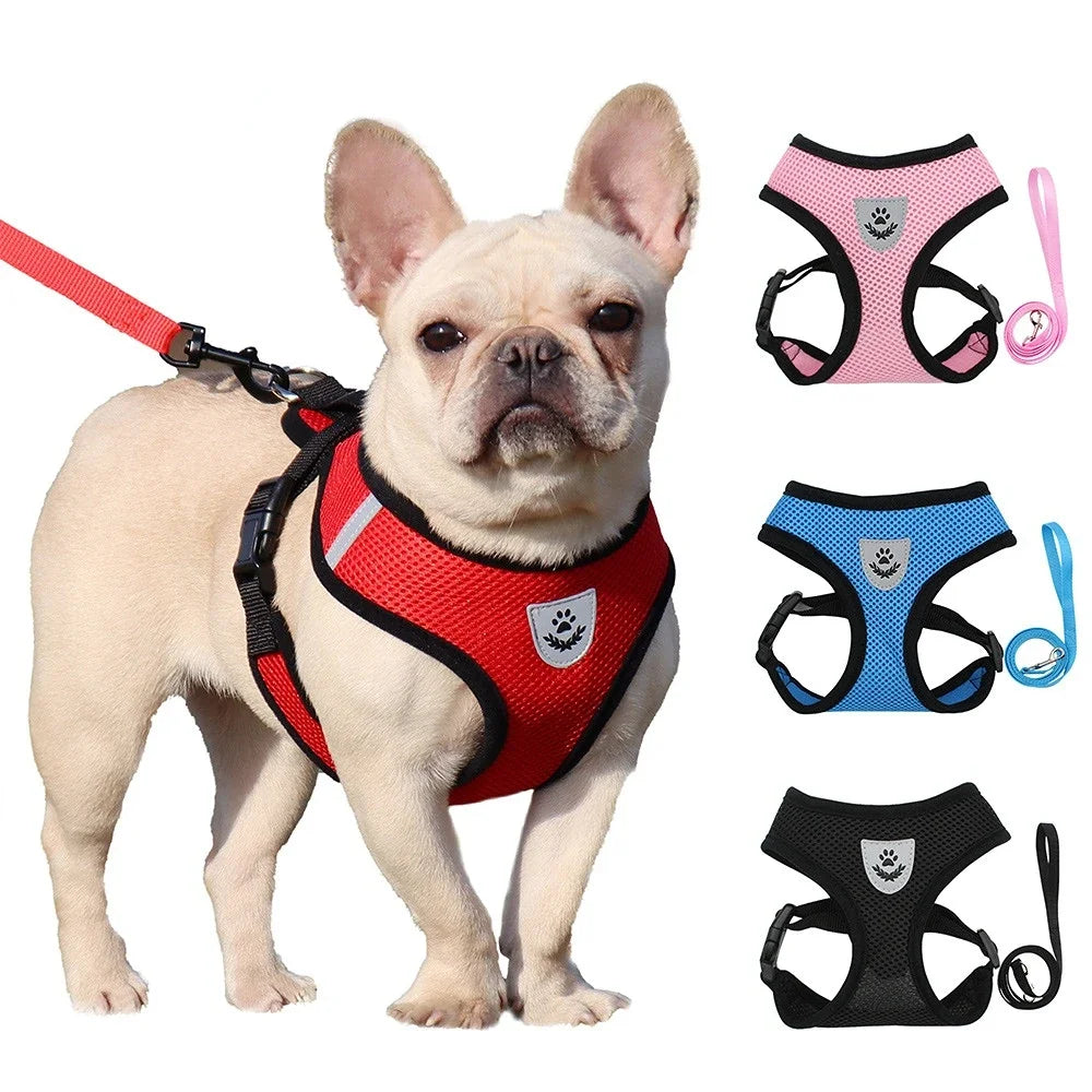 Summer Cat Dog Harness Lead Leash Adjustable